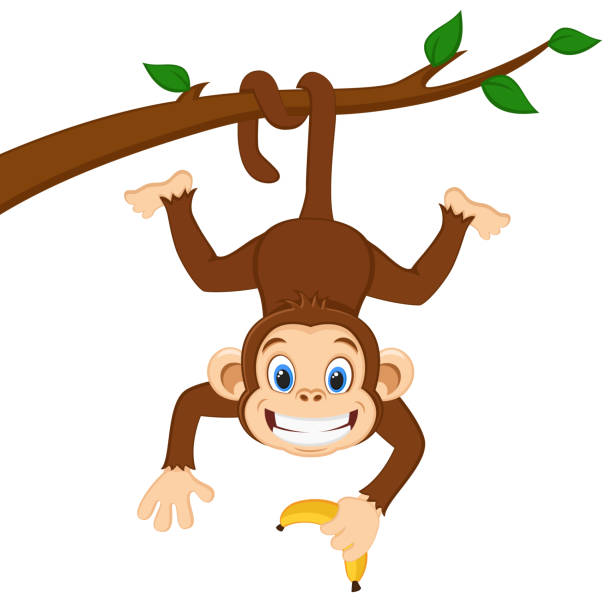 Monkey Cartoon Images - KibrisPDR