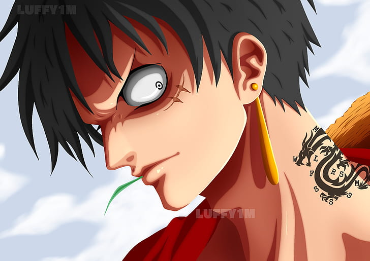 Detail Monkey D Luffy Hd Nomer 13