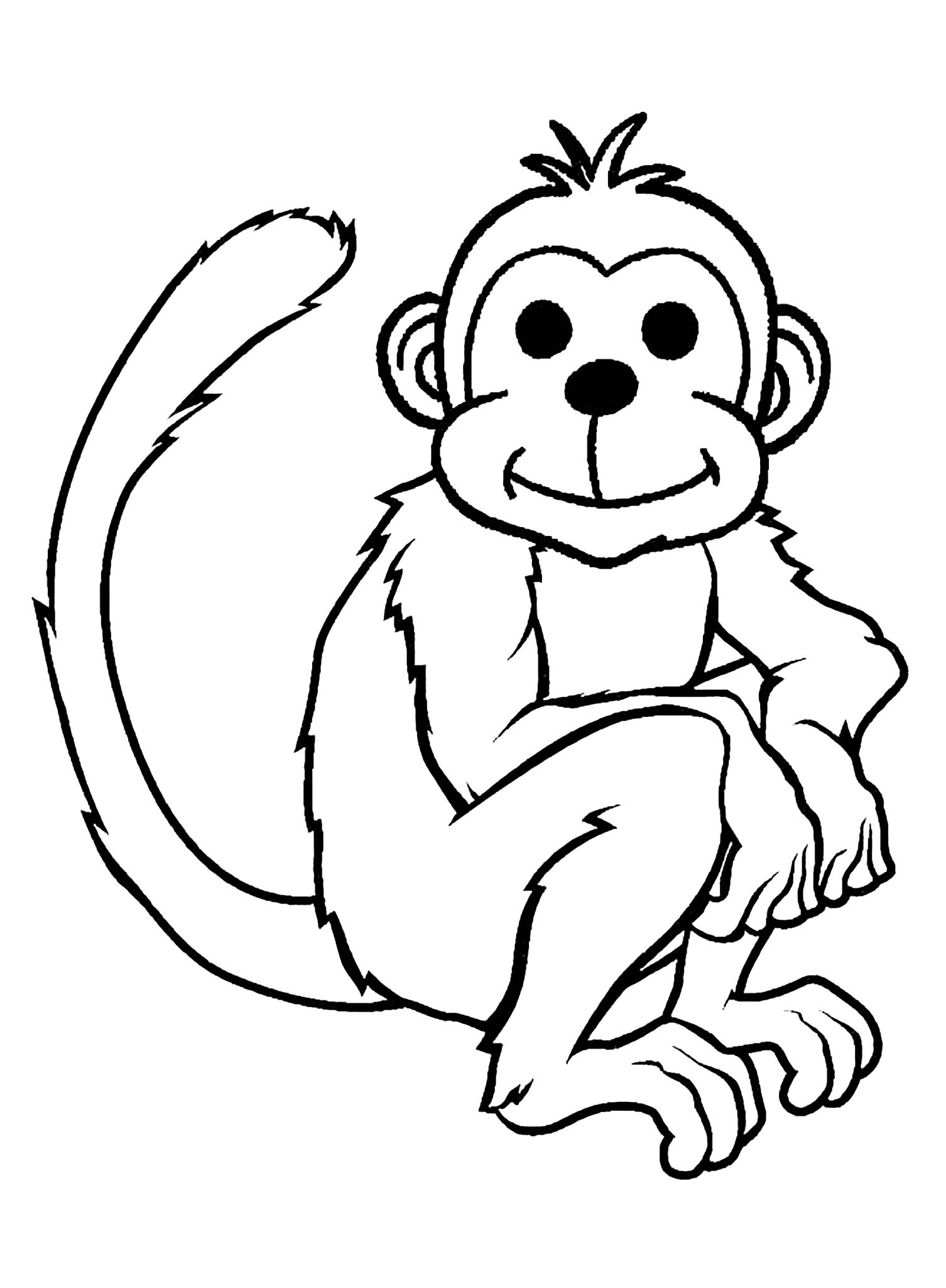 Detail Monkey Download Nomer 34