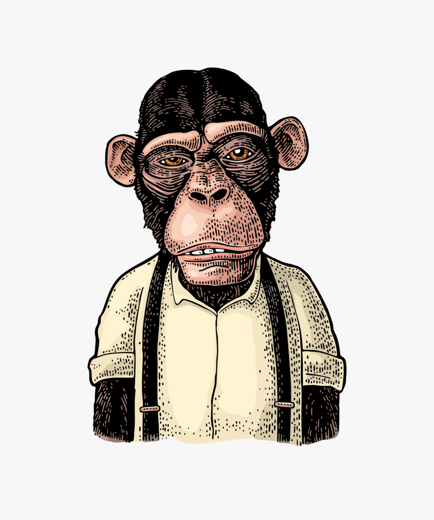 Detail Monkey Download Nomer 42