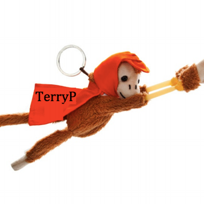 Detail Monkey Flashlight Keychain Nomer 7