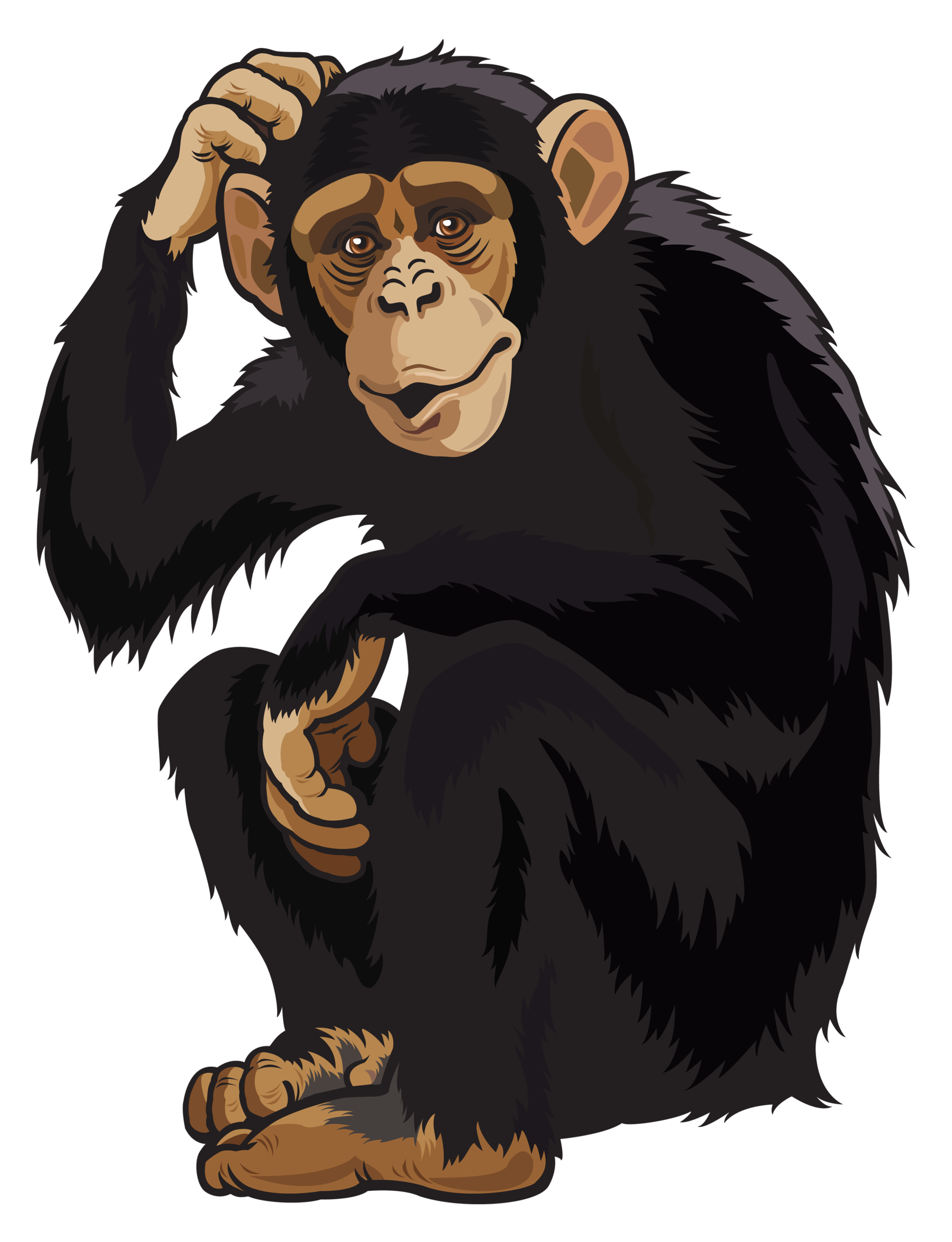 Detail Monkey Free Download Nomer 21