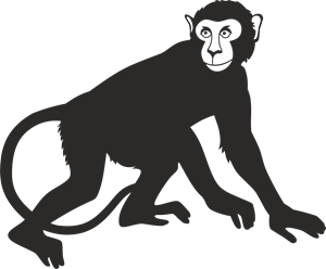 Detail Monkey Free Download Nomer 33
