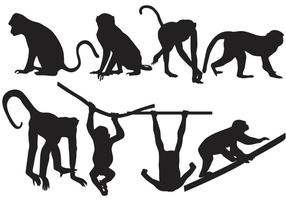 Detail Monkey Free Download Nomer 38