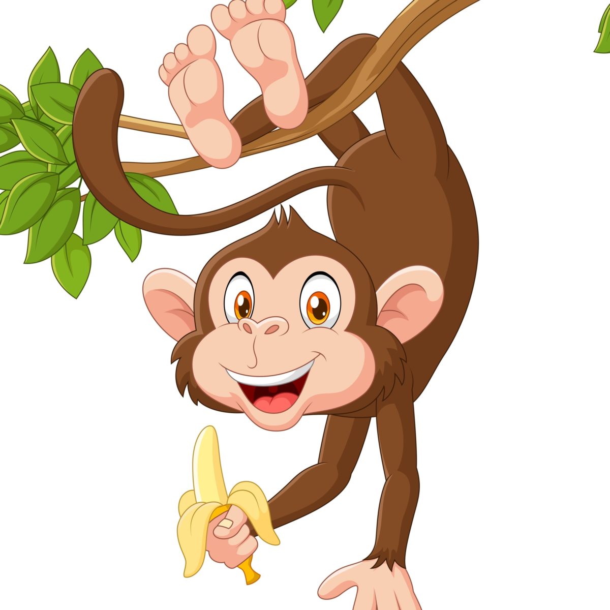 Detail Monkey Free Download Nomer 45