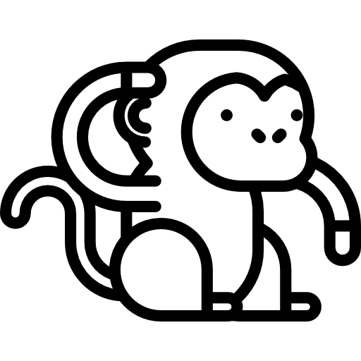 Detail Monkey Icon Png Nomer 4