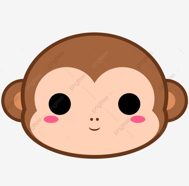 Detail Monkey Icon Png Nomer 47