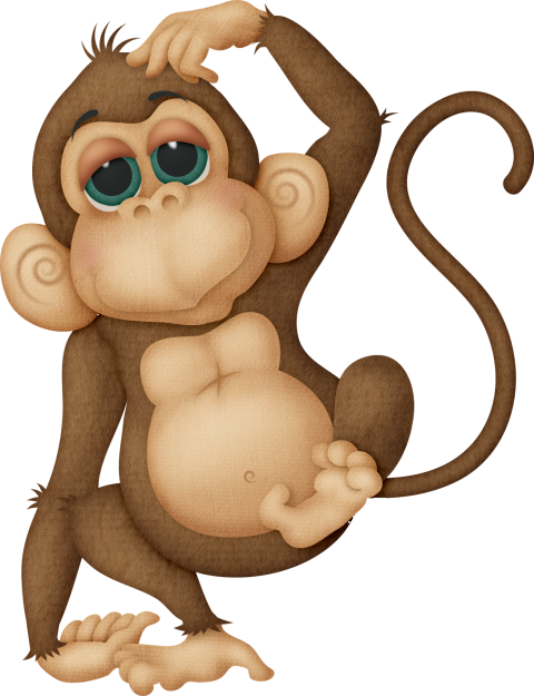 Detail Monkey Pictures Free Download Nomer 32