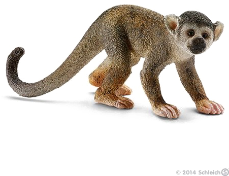 Detail Monkey Png Transparent Nomer 38
