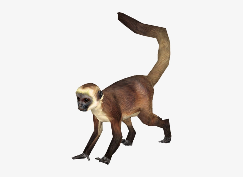 Detail Monkey Png Transparent Nomer 41