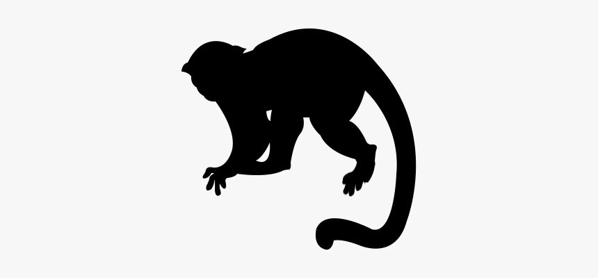 Detail Monkey Png Transparent Nomer 42