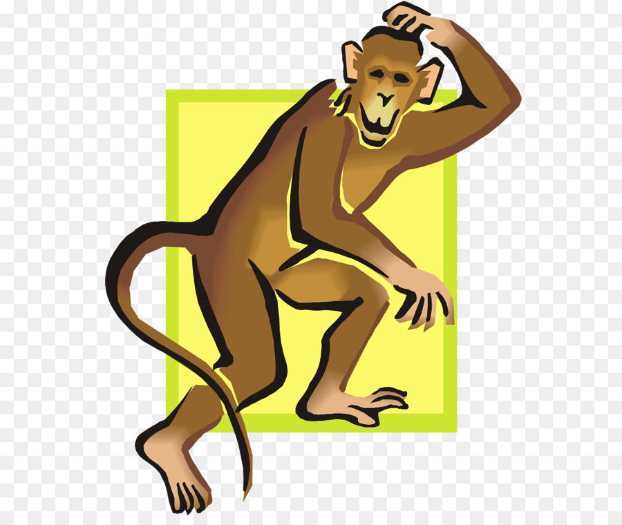 Detail Monkey Tail Png Nomer 50