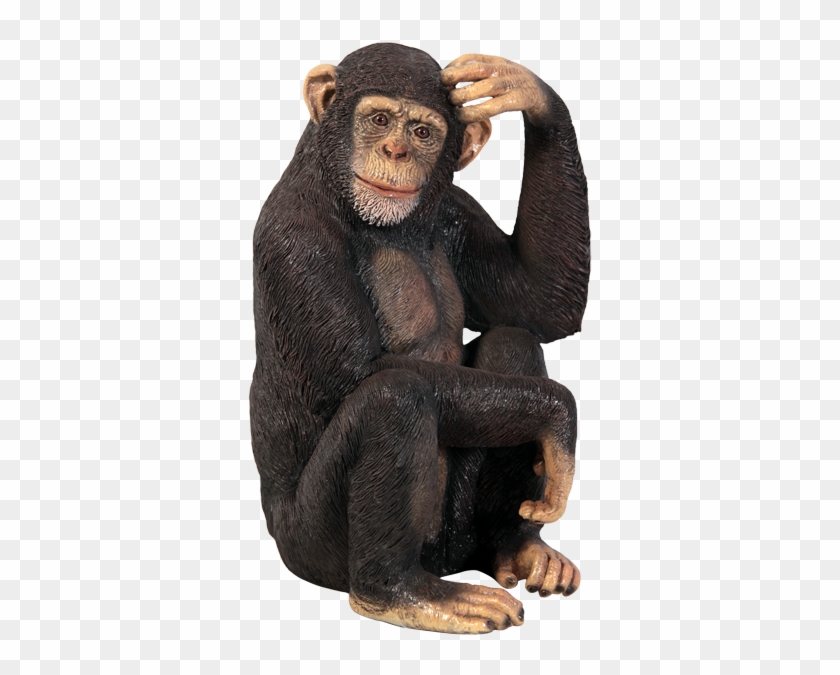 Detail Monkey Transparent Background Nomer 13