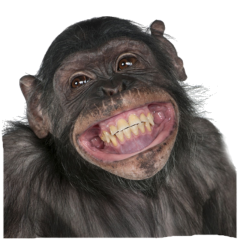 Detail Monkey Transparent Background Nomer 38