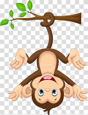 Detail Monkey Transparent Background Nomer 41