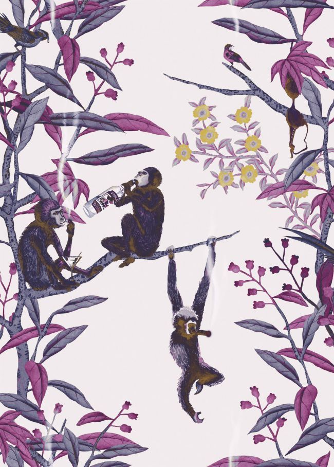 Detail Monkeys Drinking Vodka Wallpaper Nomer 4