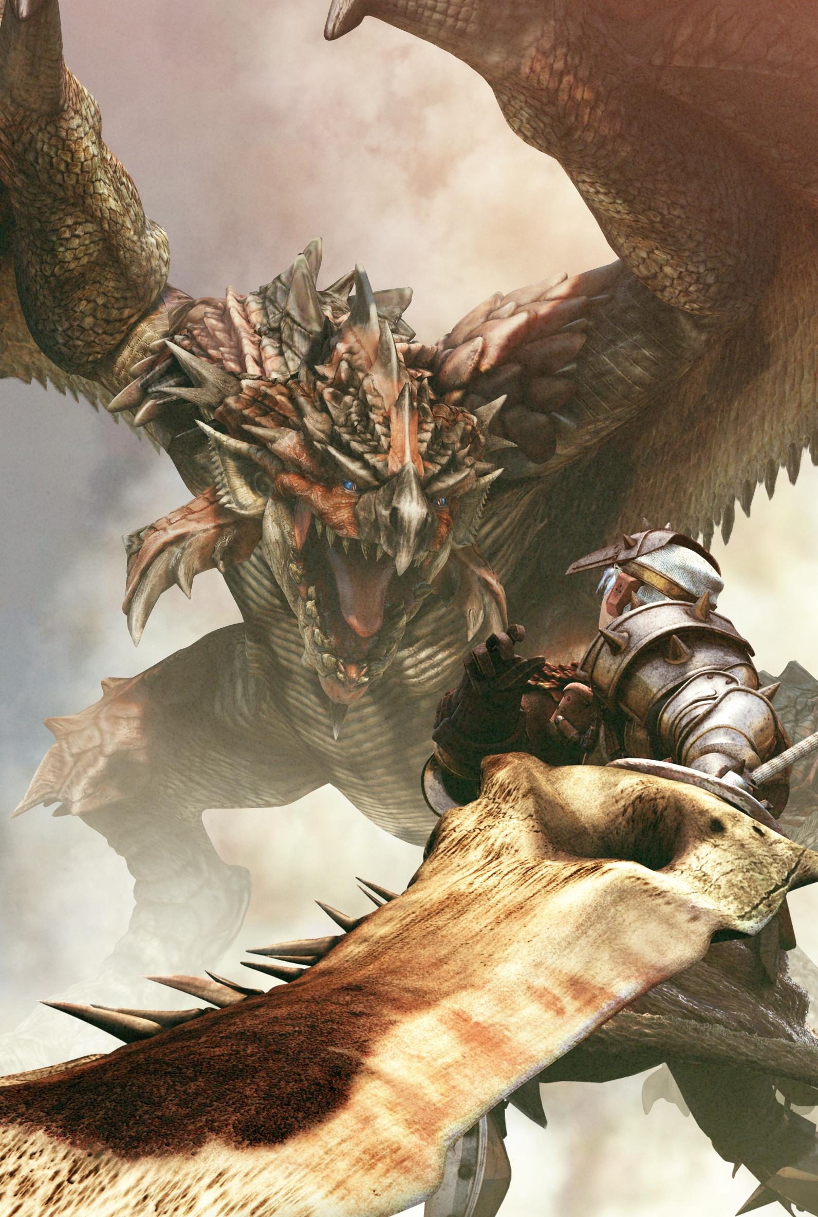 Detail Monster Hunter Wallpaper Nomer 21