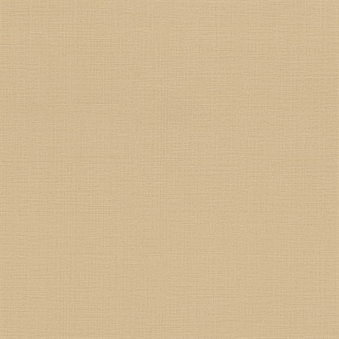 Detail Light Brown Backgrounds Nomer 45