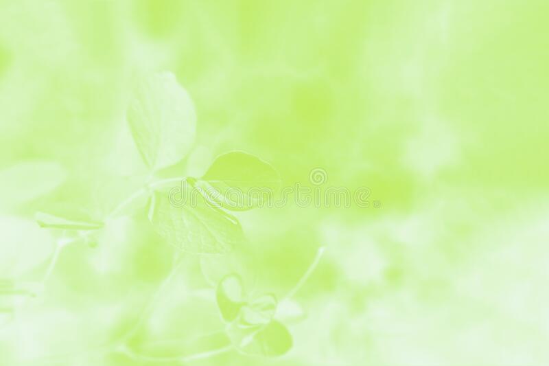 Detail Light Green Abstract Background Nomer 43