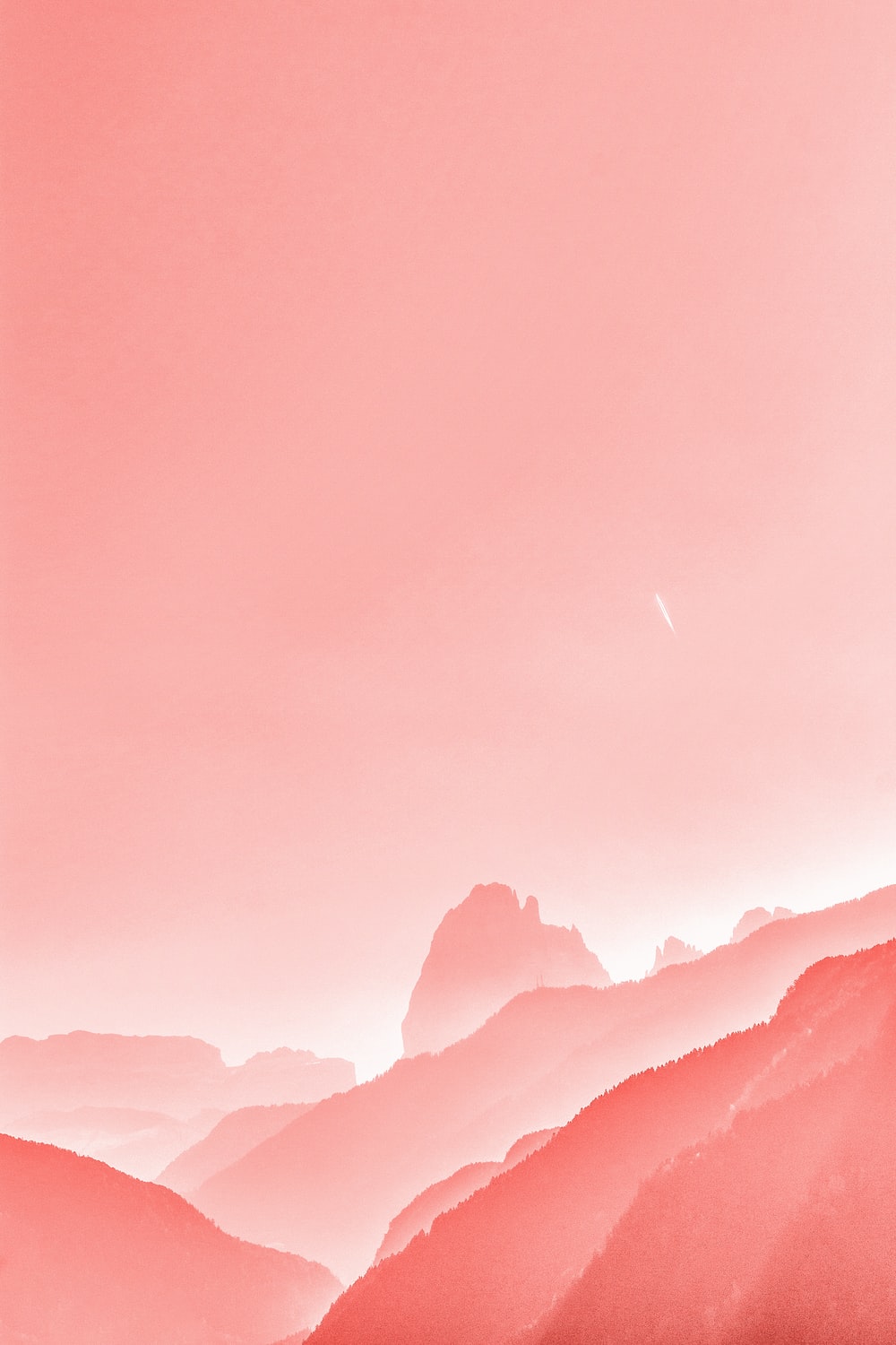Detail Light Pink Wallpaper Nomer 34