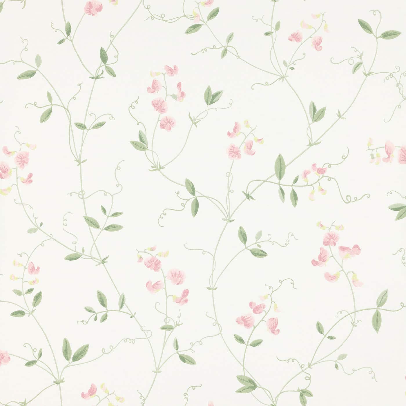 Detail Light Pink Wallpaper Nomer 9