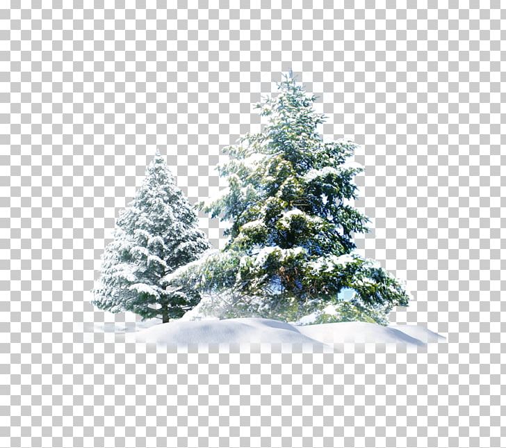 Detail Light Snow Png Nomer 51