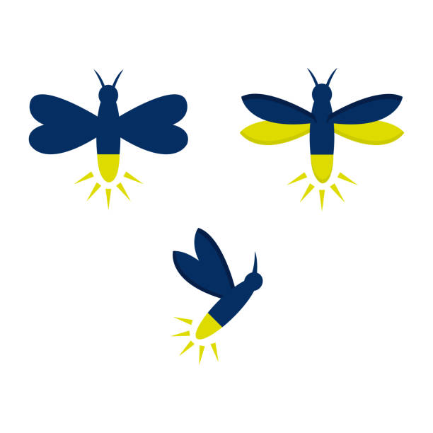 Detail Lightning Bug Clipart Nomer 10