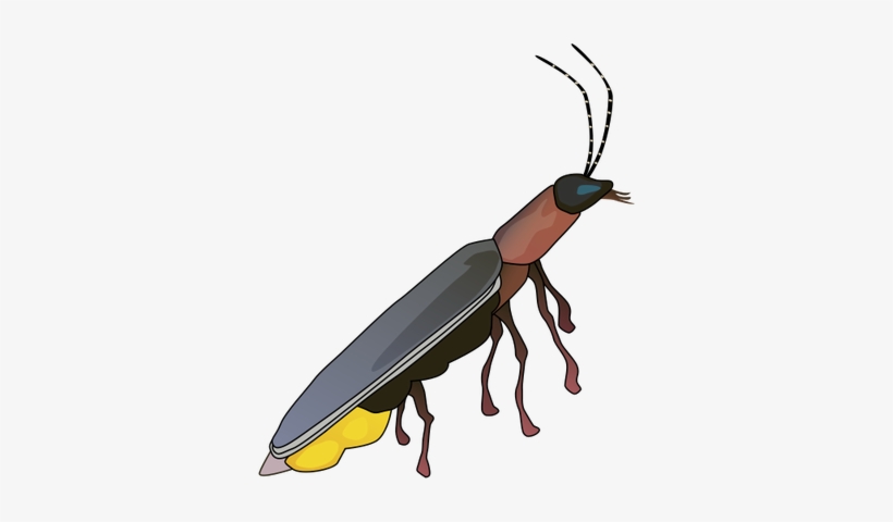 Detail Lightning Bugs Clipart Nomer 20
