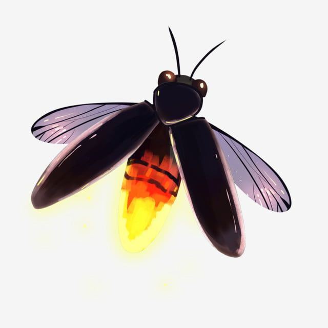 Detail Lightning Bugs Clipart Nomer 42