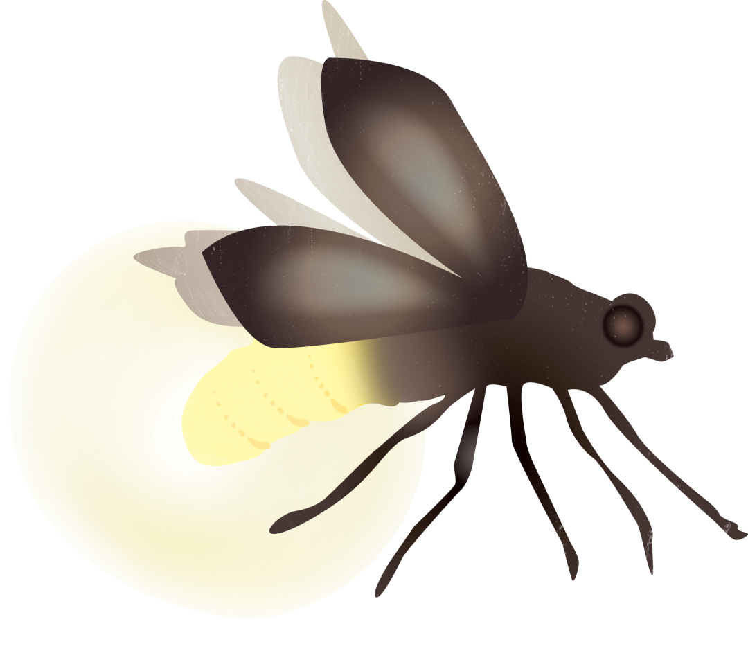 Detail Lightning Bugs Clipart Nomer 43