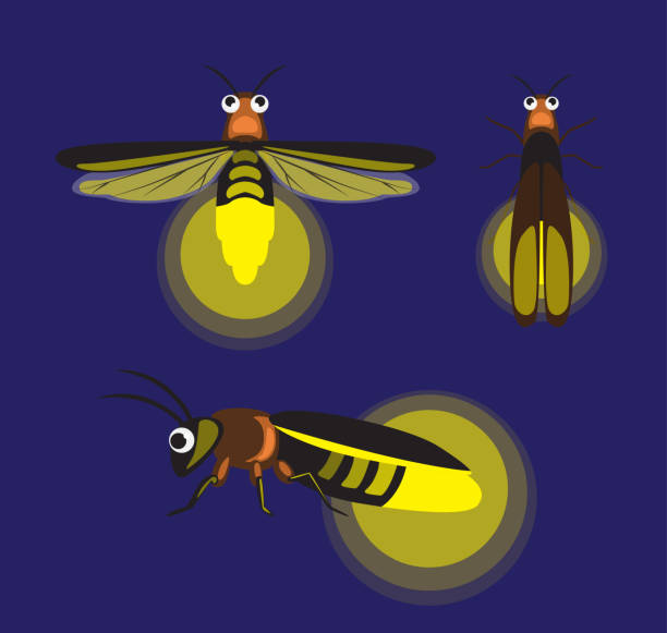 Detail Lightning Bugs Clipart Nomer 9