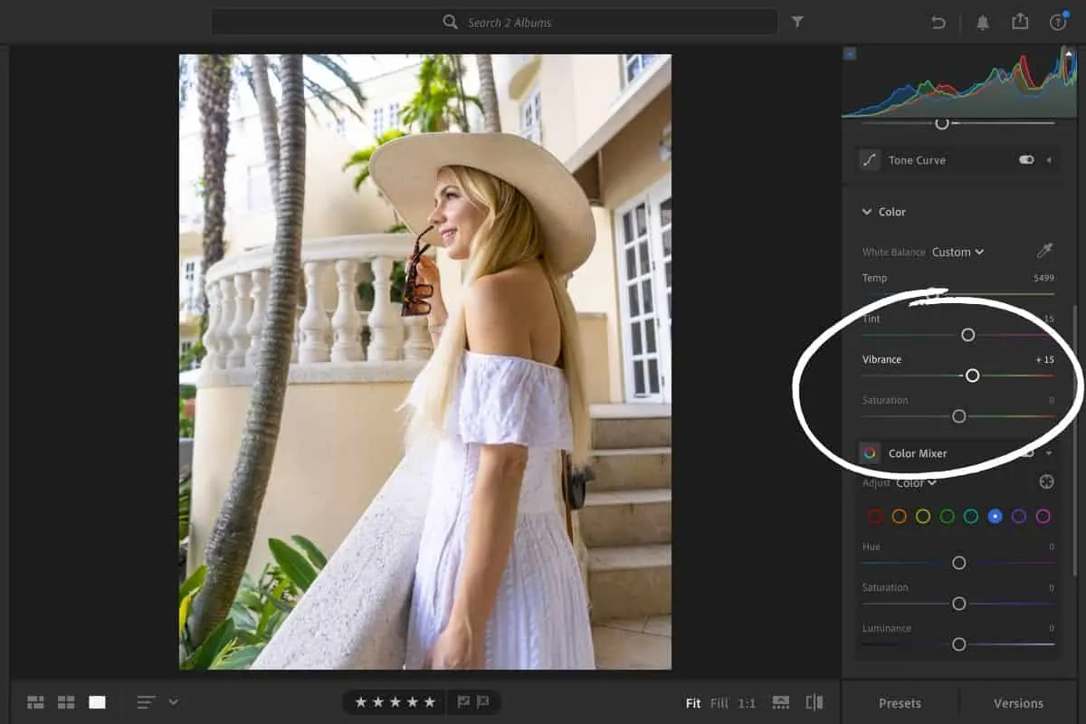 Detail Lightroom Edit Foto Nomer 20