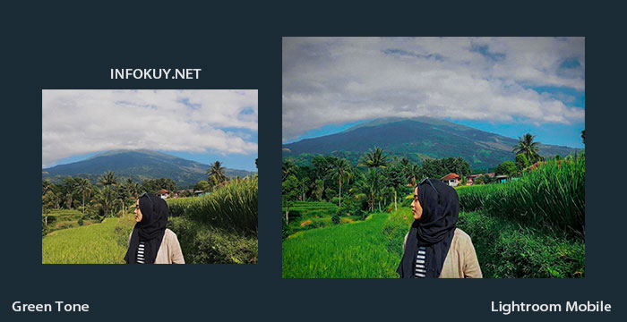 Detail Lightroom Pemandangan Nomer 20