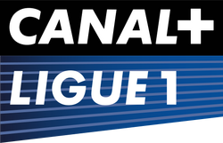 Detail Ligue 1 Logo Png Nomer 33