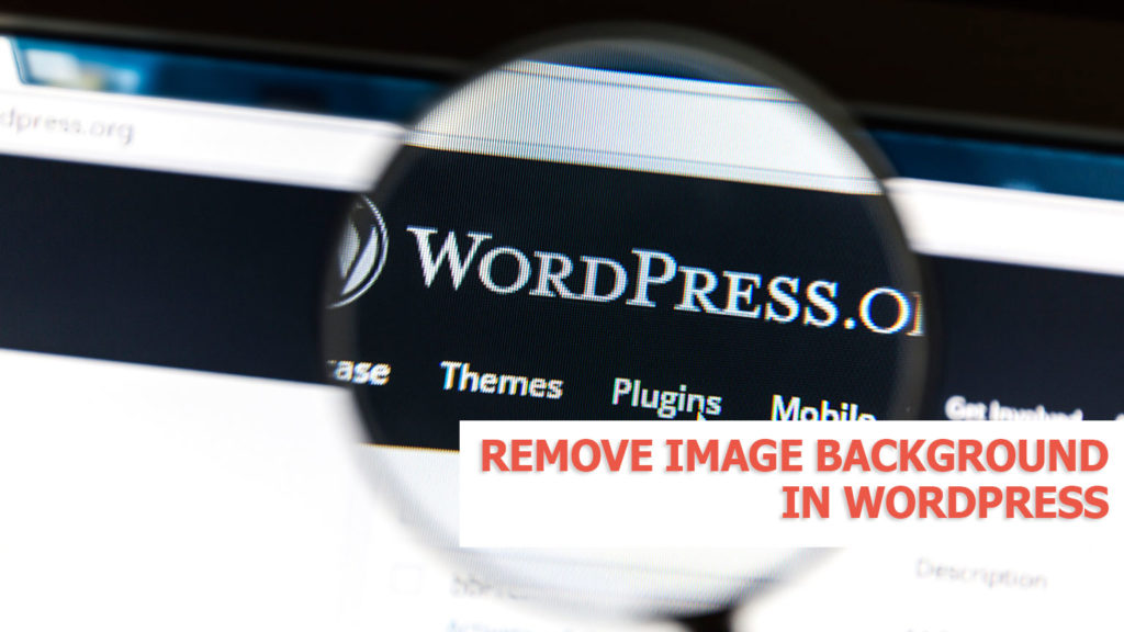 Detail Lihat Gambar Latar Belakang Di Theme Wordpress Nomer 33