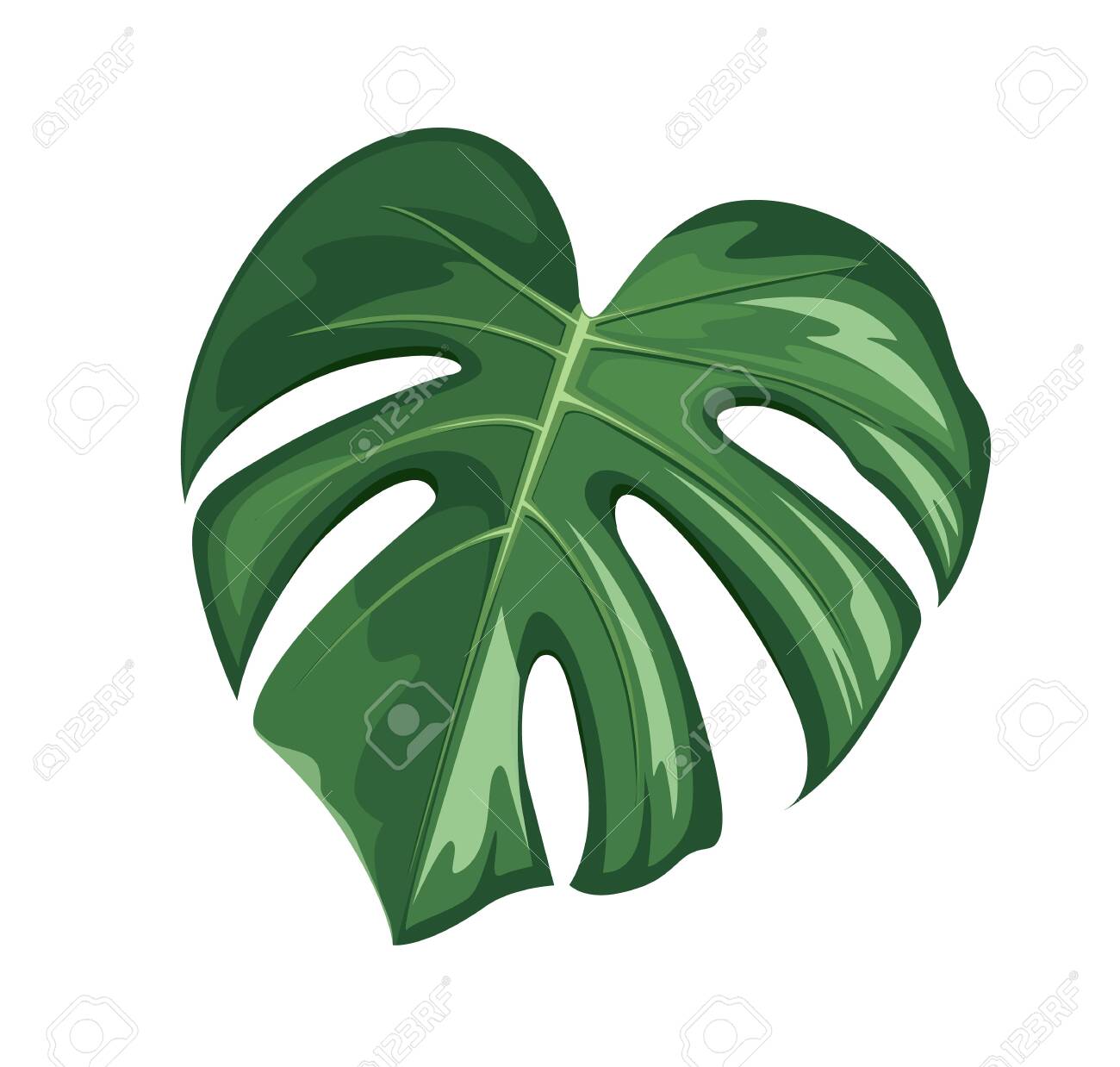 Detail Monstera Vector Png Nomer 13