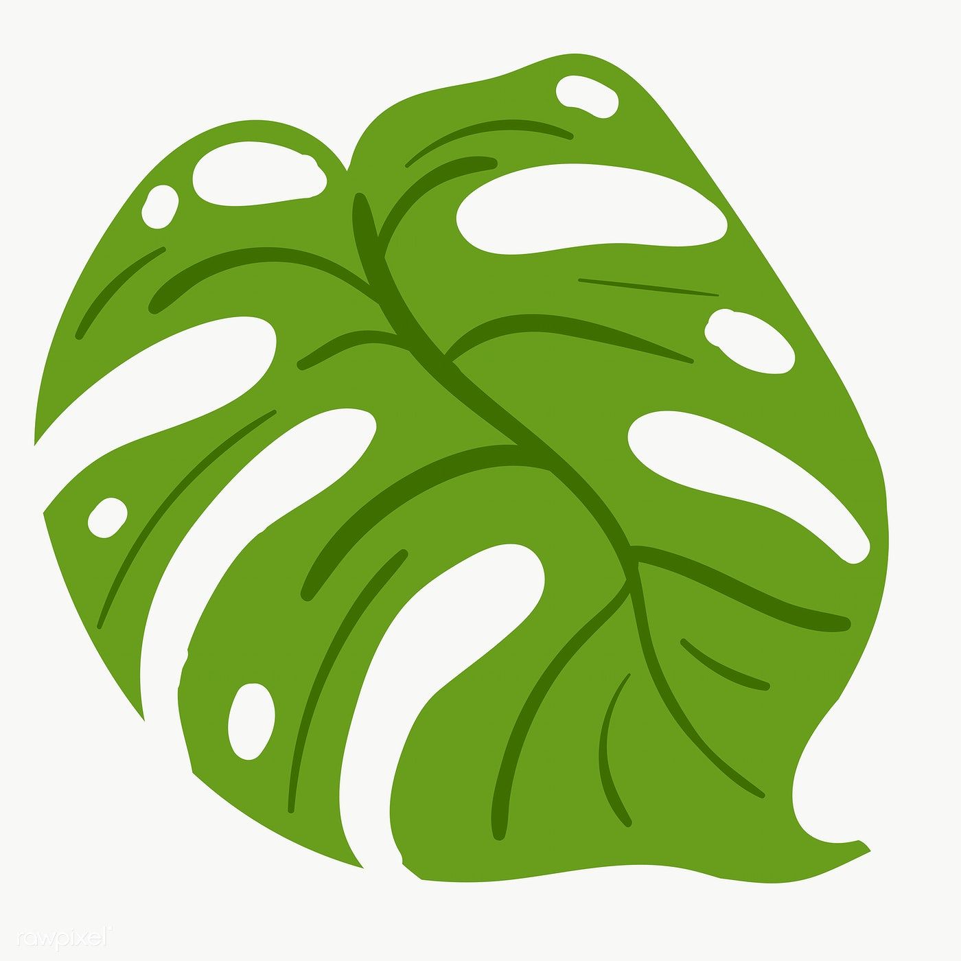 Detail Monstera Vector Png Nomer 27