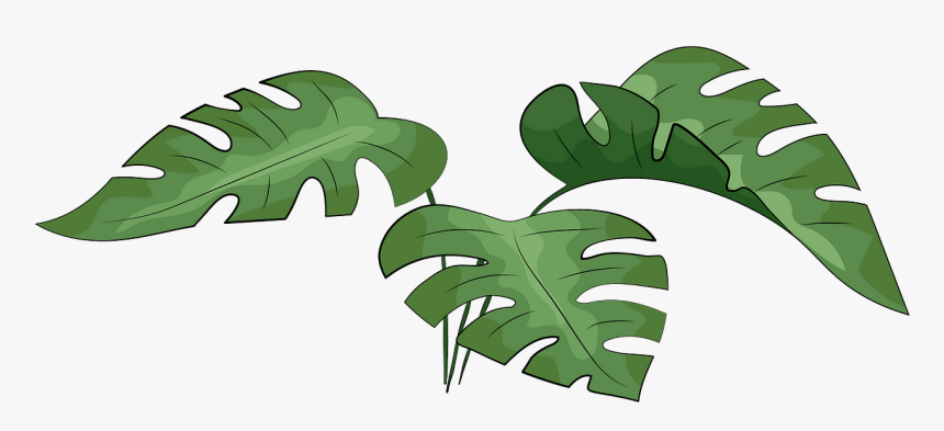 Detail Monstera Vector Png Nomer 4