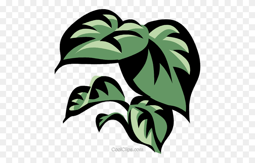 Detail Monstera Vector Png Nomer 31