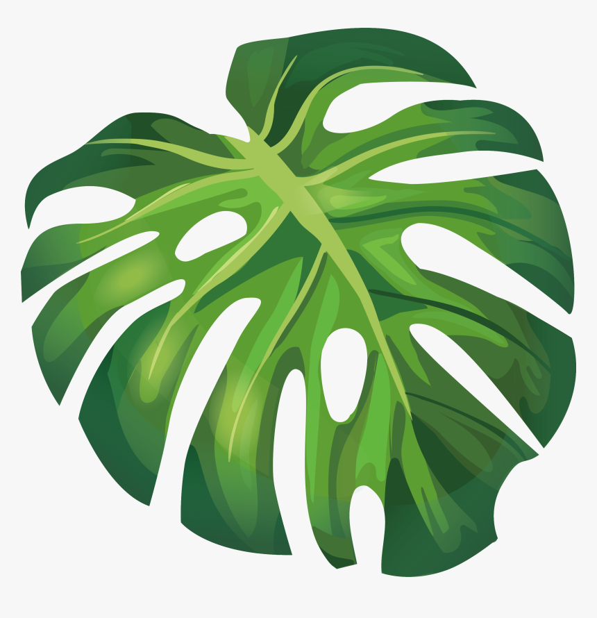 Detail Monstera Vector Png Nomer 6