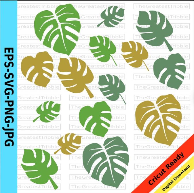 Detail Monstera Vector Png Nomer 48