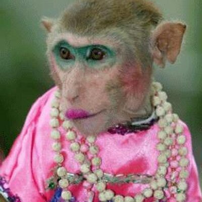 Monyet Di Make Up - KibrisPDR