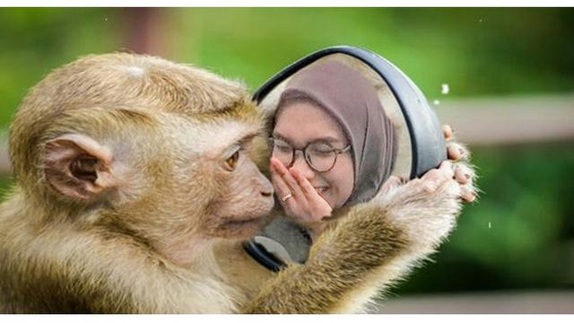 Detail Monyet Lucu Bikin Ngakak Nomer 47
