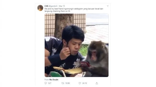 Detail Monyet Lucu Bikin Ngakak Nomer 49