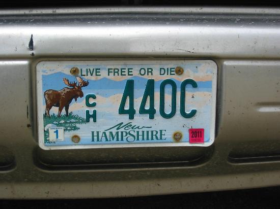 Detail Moose And Squirrel License Plate Nomer 46