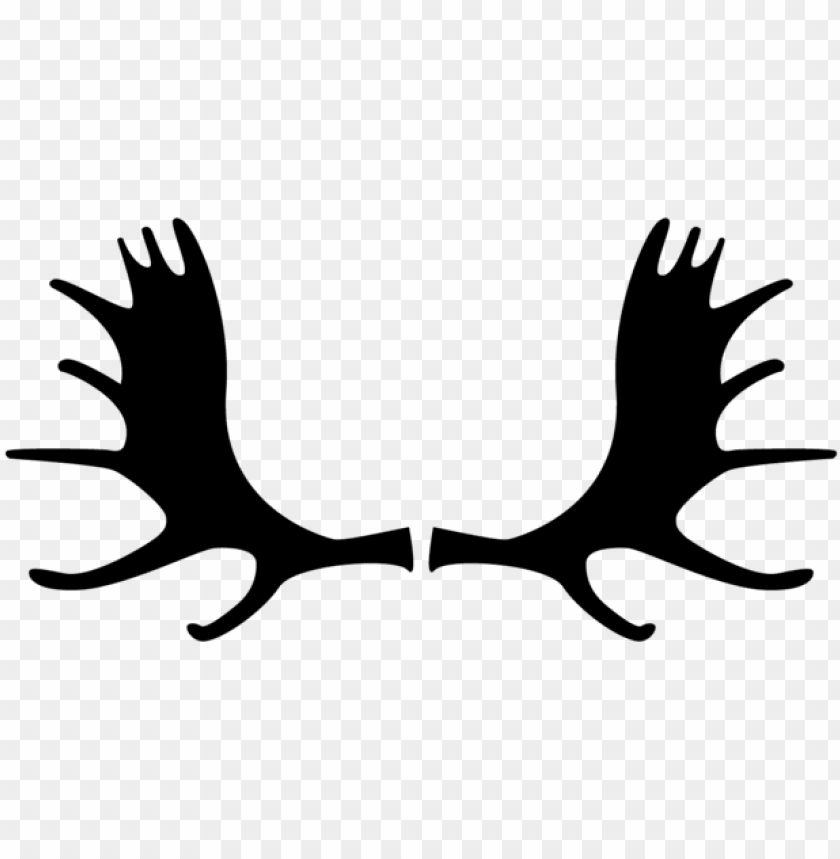 Detail Moose Antlers Png Nomer 3