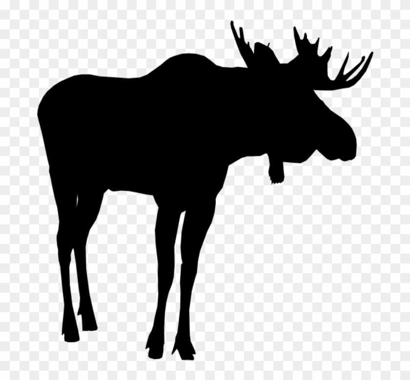 Detail Moose Clipart Silhouette Nomer 19