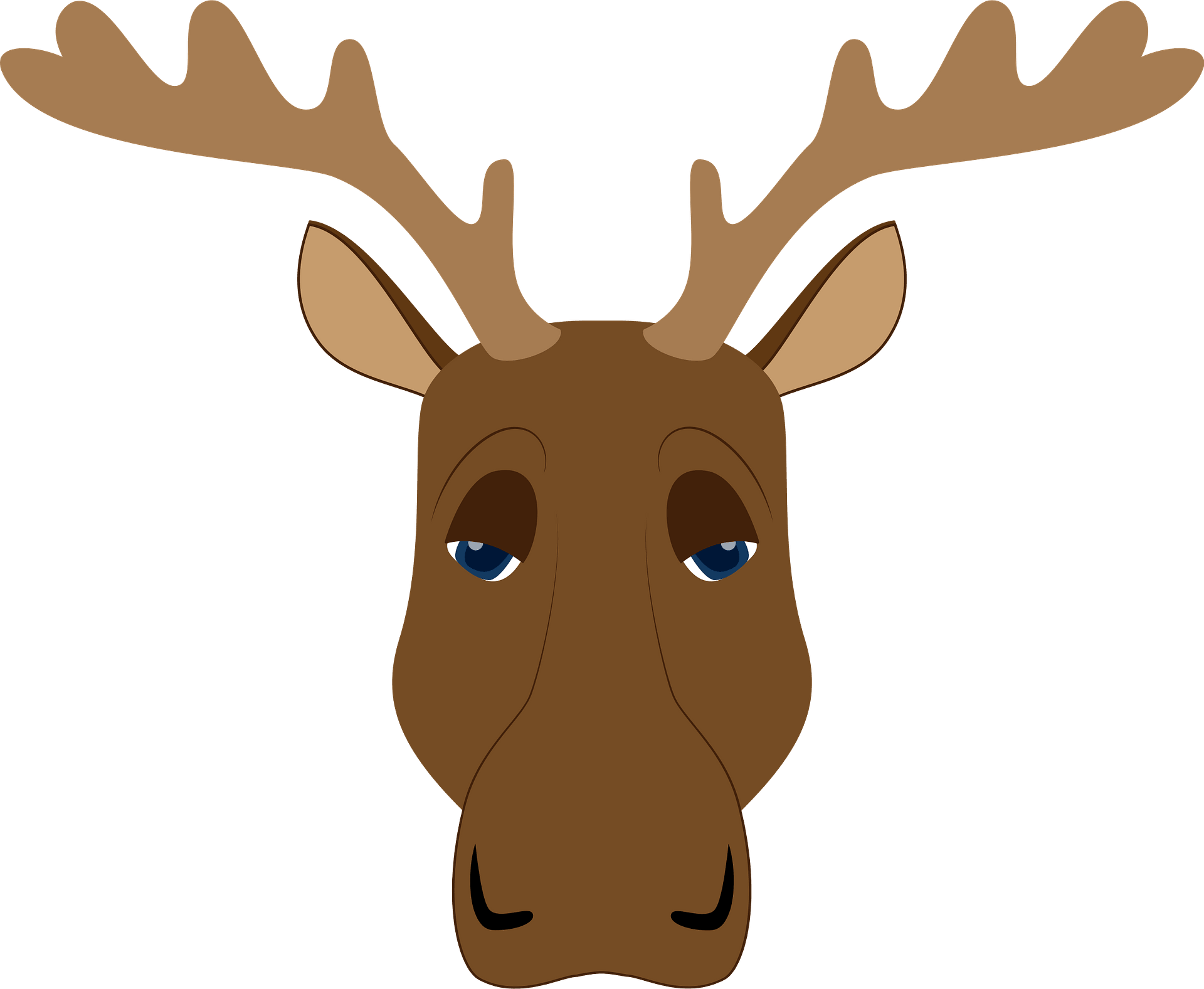 Detail Moose Face Clipart Nomer 11