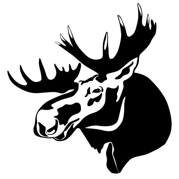 Detail Moose Face Clipart Nomer 22