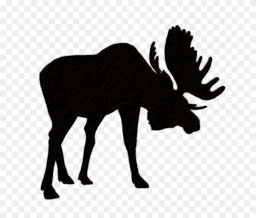 Detail Moose Face Clipart Nomer 42